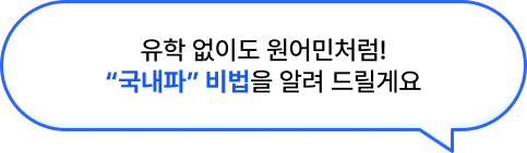 유학 없이도 원어민 처럼 국내파 비버을 알려 드릴게요