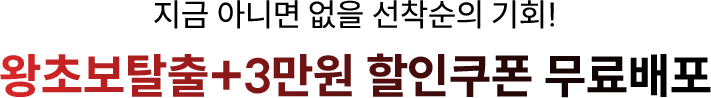 지금 아니면 없을 선착순의 기회! 왕초보탈출 + 3만원 할인쿠폰 무료배포