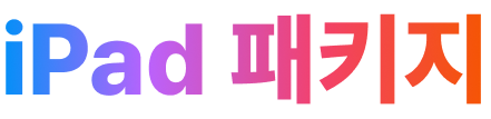 iPad 패키지