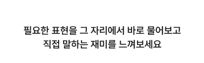 해외 여행지에서 그 나라의 언어를 즉시 배우고 싶은 사람