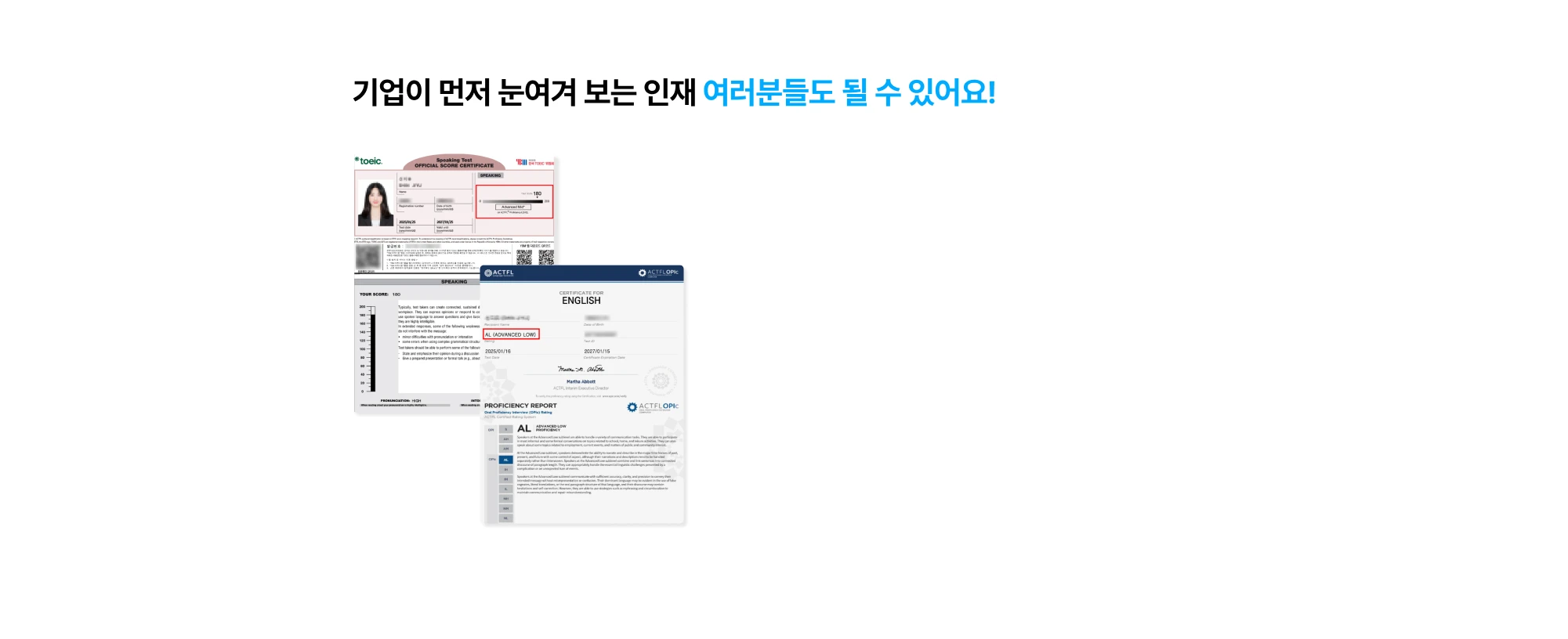 취업 성공을 부르는 집중 커리큘럼