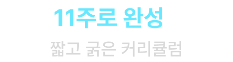 딱 11주로 완성하는 짧고 굵은 커리큘럼