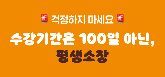 sec06_bridge 이미지