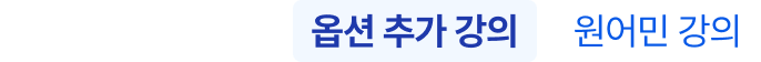 옵션 추가 강의 / 원어민 강의
