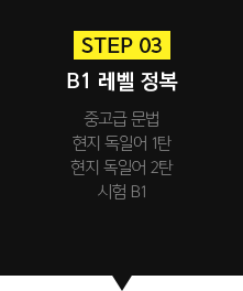 STEP3 B1 레벨 정복