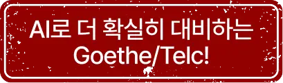AI로 더 확실히 대비하는 GOETH/TELC!