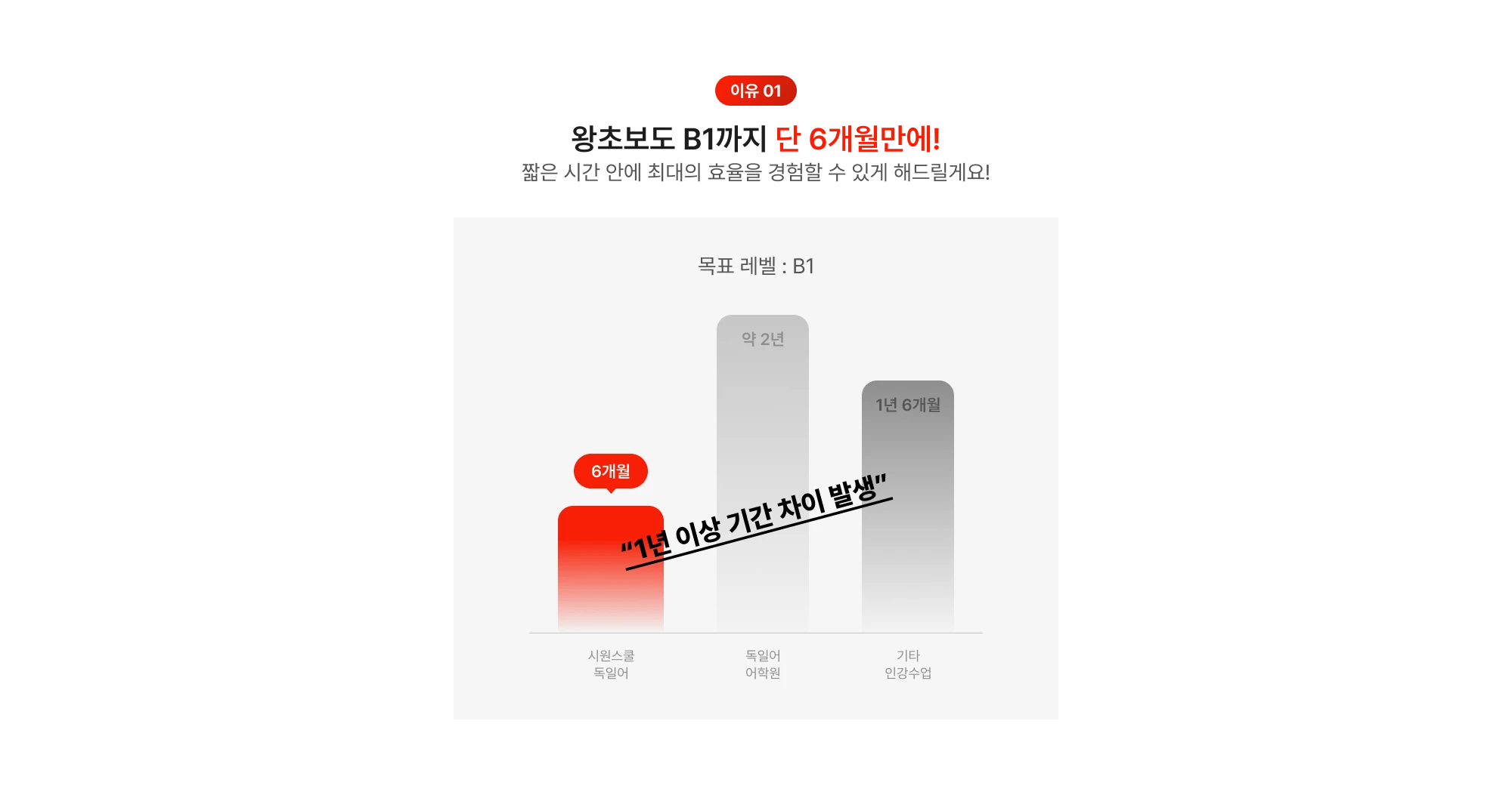 왕초보도 단 6개월만에!