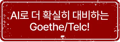 AI로 더 확실히 대비하는 GOETH/TELC!
