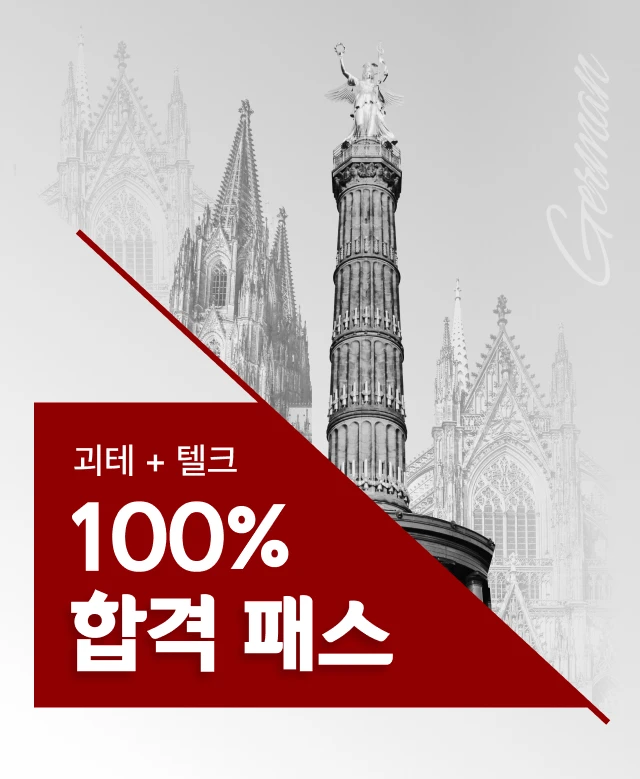 나에게 맞춰 준비하는 독일어 능력 시험 괴티 + 텔크 합격 패스