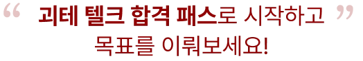 괴테 텔크 합격 패스로 시작하고 목표를 이뤄보세요