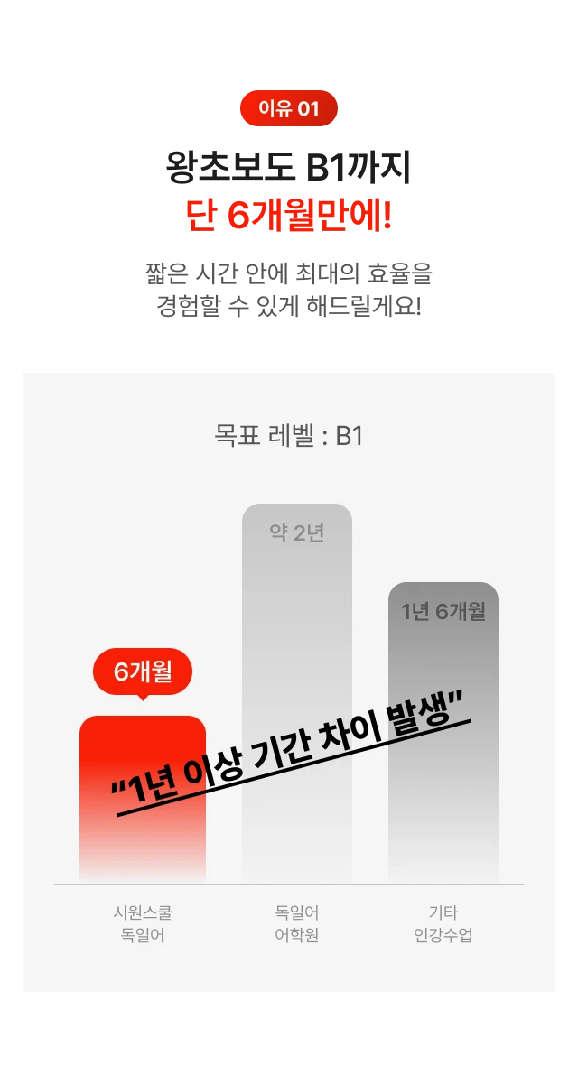 왕초보도 단 6개월만에!