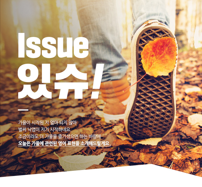 Issue 있슈!