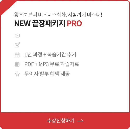 왕초보부터 비즈니스회화, 시험까지 마스터! NEW 끝장패키지 PRO