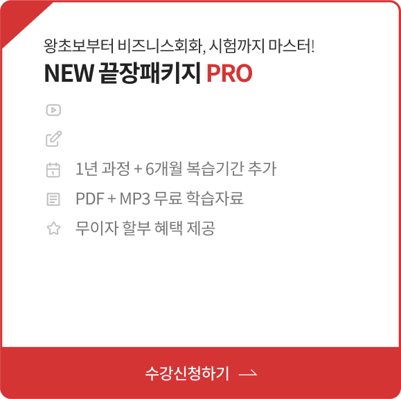 왕초보부터 비즈니스회화, 시험까지 마스터! NEW 끝장패키지 PRO