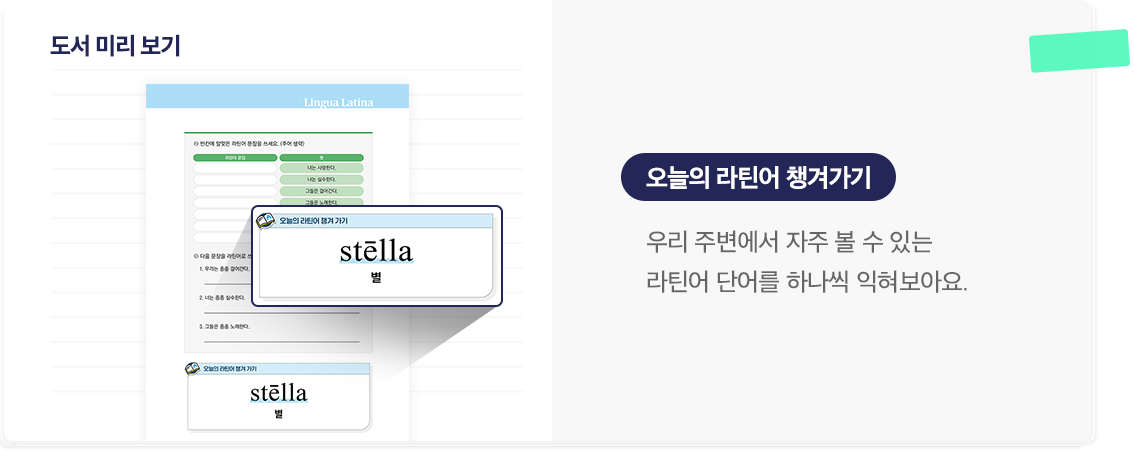 오즐의 라틴어 챙겨가기