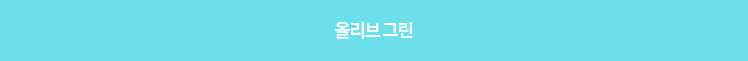 100% 뉴욕현지 리얼리티 Basic English