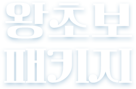 왕초보 패키지