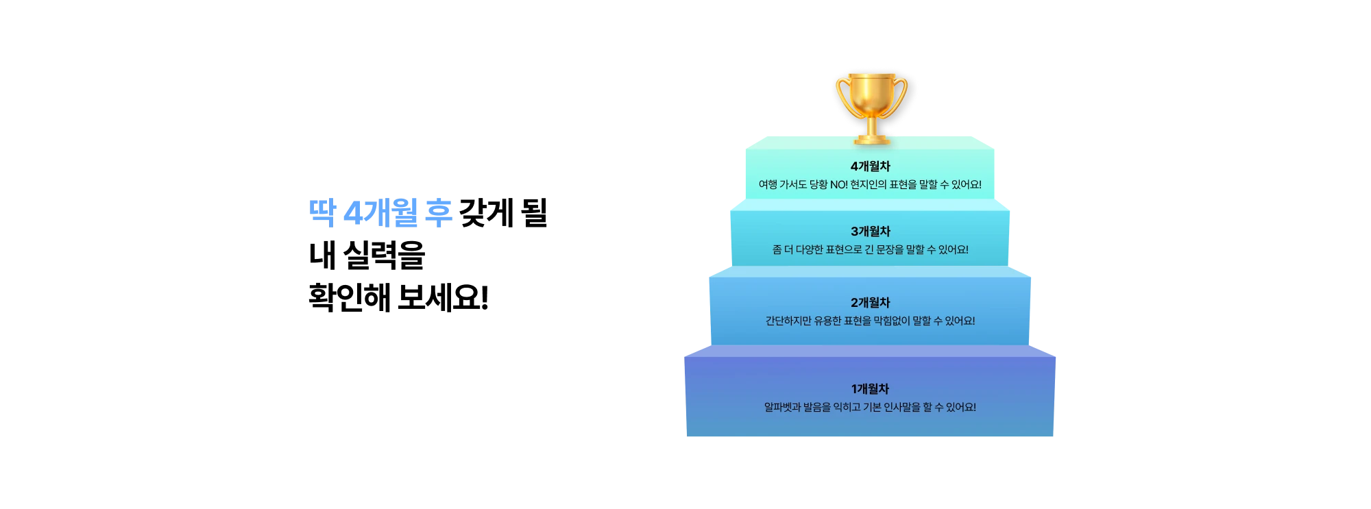 딱 4개월 후 갖게 될 내 실력을 확인해 보세요!