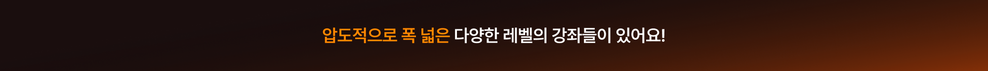 압도적으로 폭 넓은 다양한 레벨의 강좌들이 있어요!