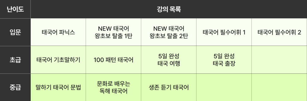6개월 커리큘럼