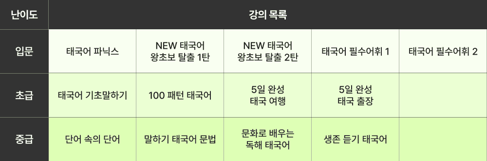 6개월 커리큘럼