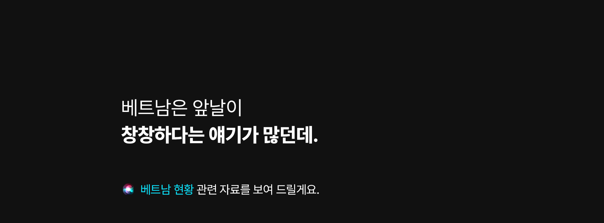 베트남은 앞날이 창창하다는 얘기가 많던데.