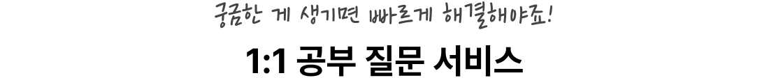 1:1 공부 질문 서비스