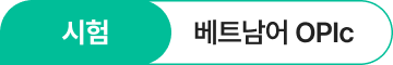 베트남어 OPIc