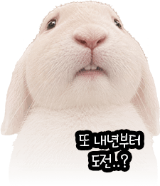 또 내년부터 도전..?