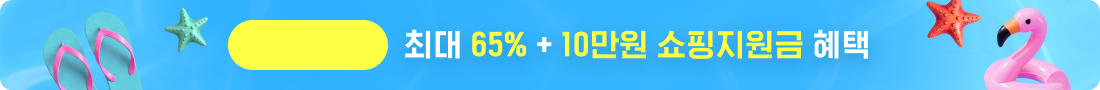 최대 65% + 10만원 쇼핑지원금 혜택