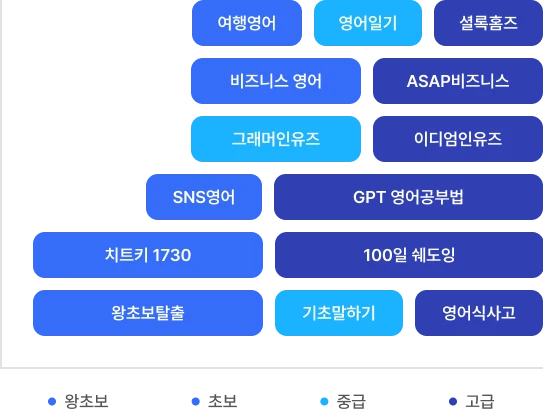 왕초보 초보 중급 고급 커리큘럼