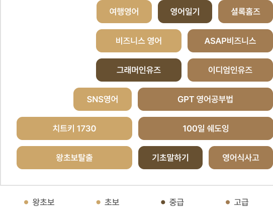 왕초보 초보 중급 고급 커리큘럼