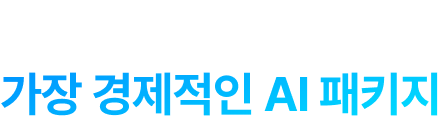 핵심 기능만 가장 경제적인 ai패키지
