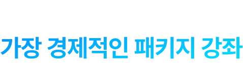 핵심 기능만 가장 경제적인 ai패키지