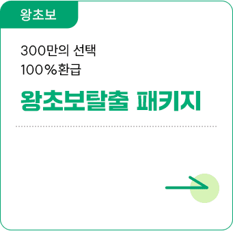 300만의 선택 100%환급 왕초보탈출 패키지