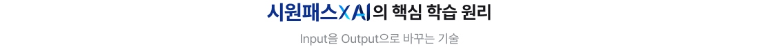 시원패스XAI의 핵심 학습 원리 input을 output으로 바꾸는 기술